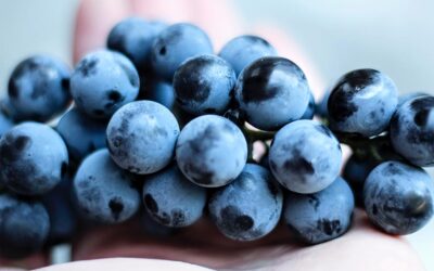 Eat grapes for an endurance boost
