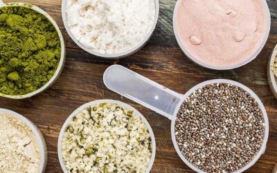 Which type of protein powder is right for you?