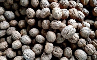 The nutritional benefits of eating Walnuts