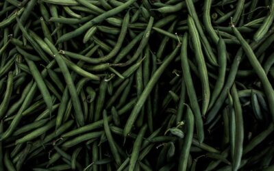 The benefits of eating Green beans and Fava beans