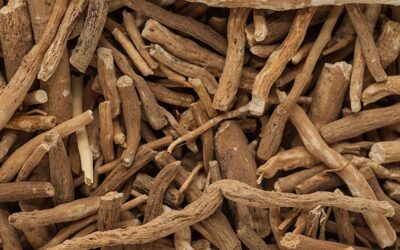 Here’s why the ashwagandha root can improve fitness