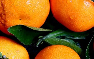 How an orange can reduce fat storage