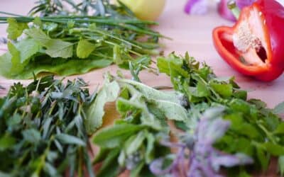8 health boosting herbs and what they do for you