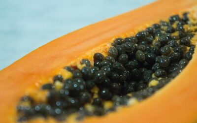 Seven benefits of eating Papaya