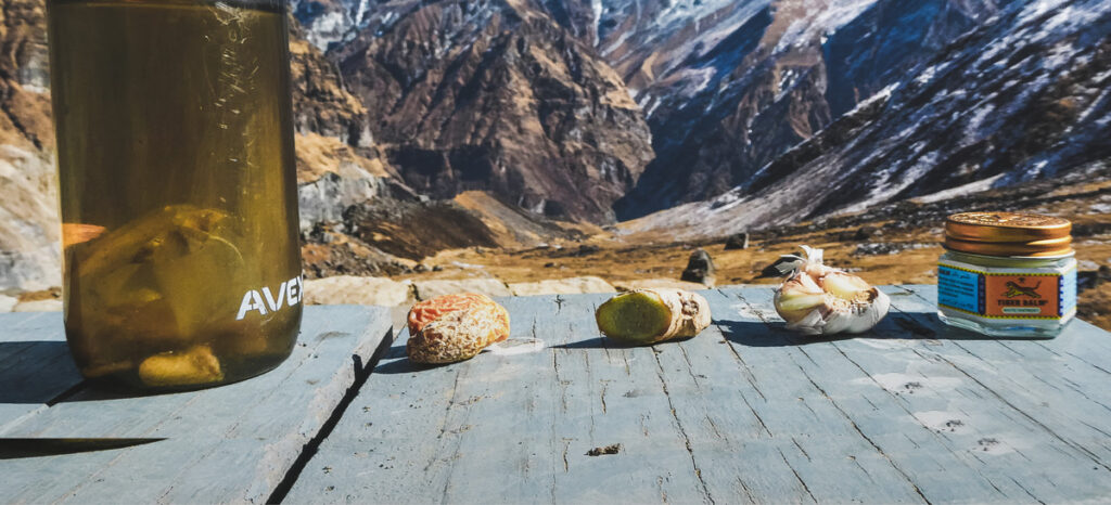 Nutrition and fitness tips for trekking at attitude. Tiger balm, garlic, ginger and a date on a table with the Himalayan mountains in the backdrop