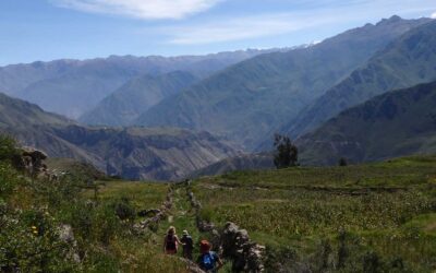 Here’s why trekking Colca Canyon took my breath away