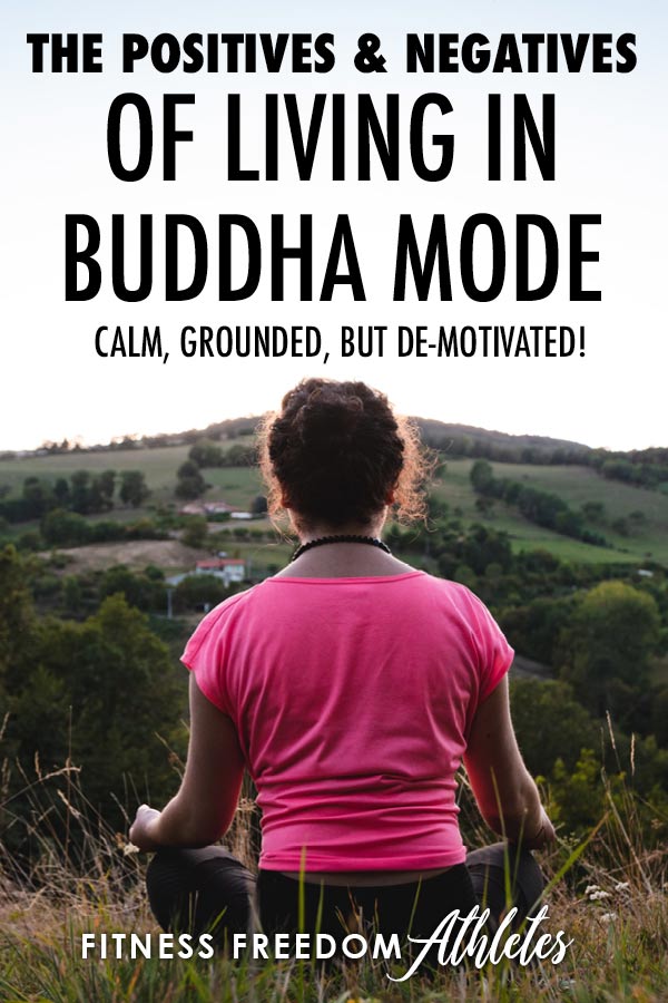 The Positives And Negatives Of Living In Buddha Mode (Parasympathetic System) - Calm, Grounded, BUT De-Motivated!