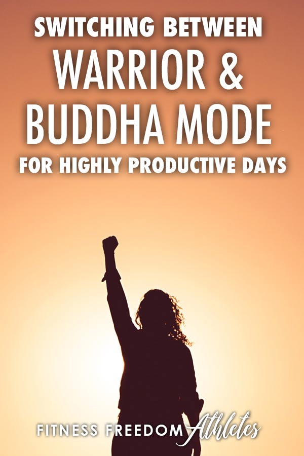Switching Between Warrior & Buddha Mode For Highly Productive Days (Sympathetic And Parasympathetic Systems)