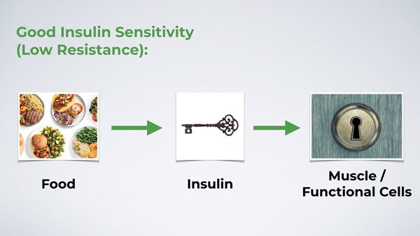 How Insulin Effects Your Ability To Build Muscle Building And Lose Fat