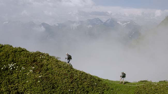hiking travellers