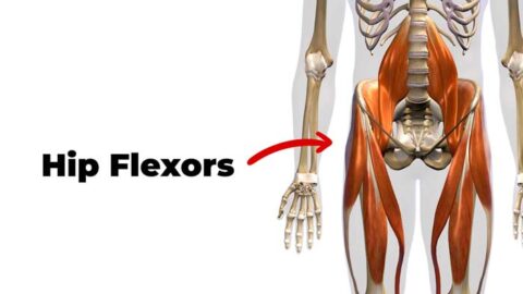 8 Essential TRX Exercises Every Man Must Master